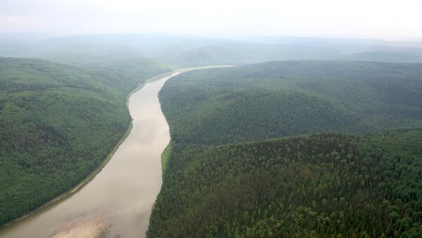 Вид на реку Большой Пит в тайге в Енисейском районе Красноярского края