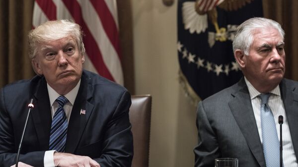 Президент США Дональд Трамп и Госсекретарь Рекс Тиллерсон в Белом доме в Вашингтоне. 30 июня 2017