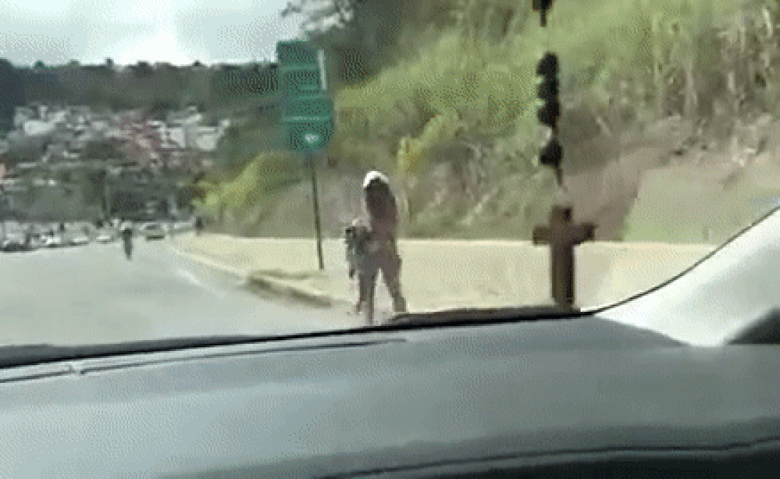 В Бразилии обнаженная девушка с юбкой на голове прогулялась по трассе