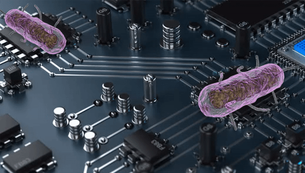 Так художник представил себе общение бактерий-биокомпьютеров