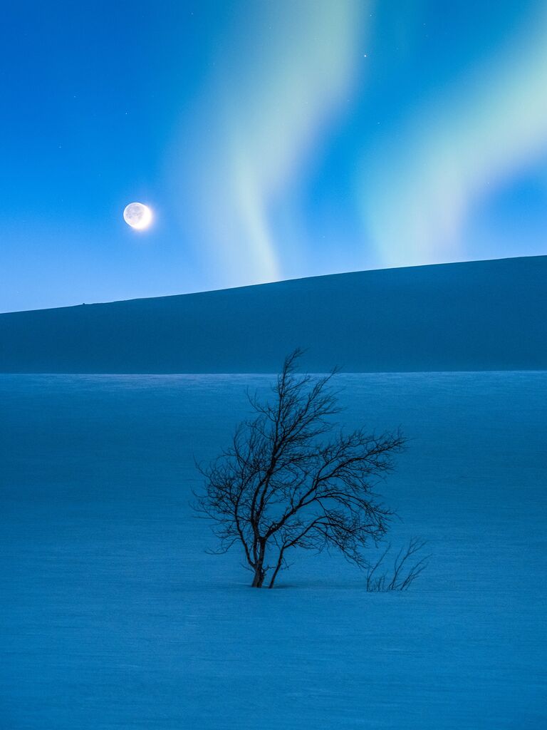 Работа фотографа Tommy Eliassen The Blue Hour, вошедшая в шорт-лист Insight Astronomy Photographer of the Year 2017