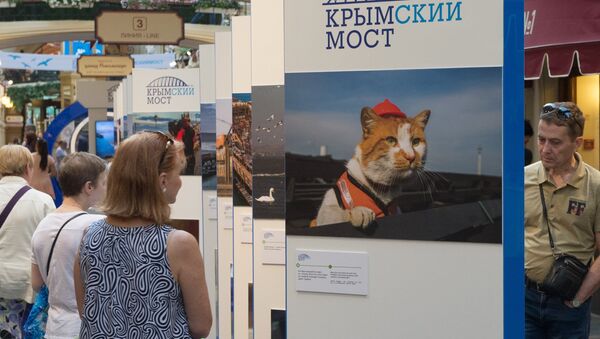 Выставка, посвященная строящемуся мосту через Керченский пролив, открылась в ГУМе. 27 июля 2017