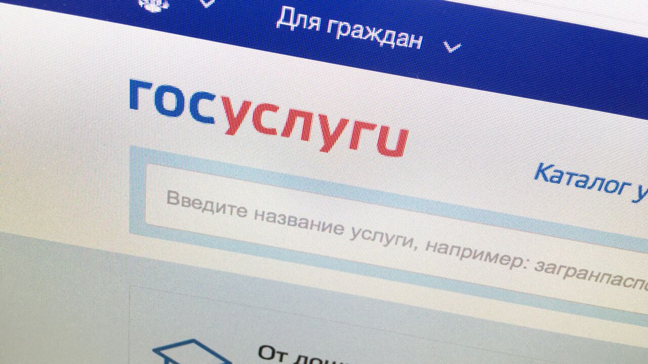 Получение соцпомощи упростили на портале госуслуг Подмосковья - РИА  Новости, 27.06.2024