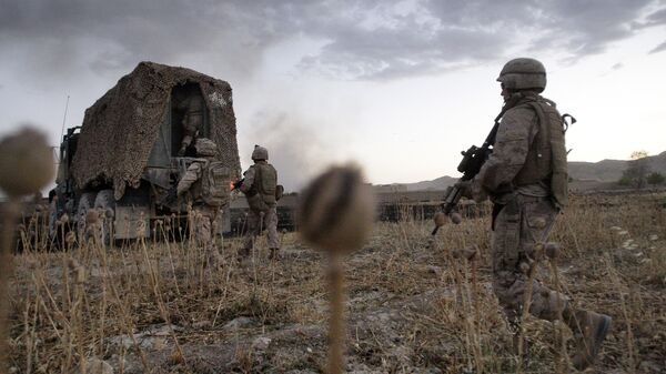 Американские военные проходят через маковое поле во время операции в провинции Гильменд, Афганистан
