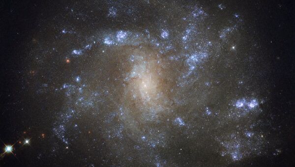 Cпиральная галактика NGC 2500