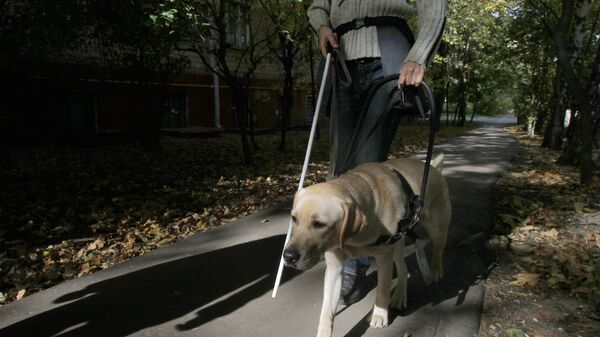 Собака-поводырь проходит обучение с инструктором в условиях города