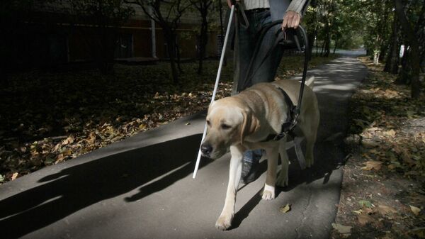 Собака-поводырь проходит обучение с инструктором в условиях города. Архивное фото