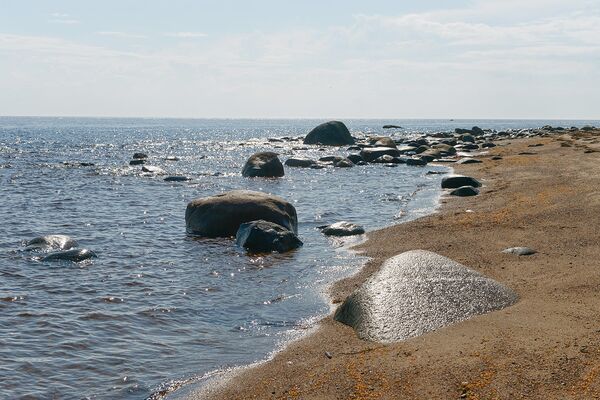 В различных заливах Белого моря формируются разные биологические условия, которые, например, способствуют появлению здесь нескольких видов сельди