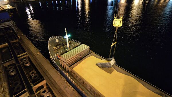 Погрузка кукурузы российского производства на японское судно во Владивостокском морском торговом порту