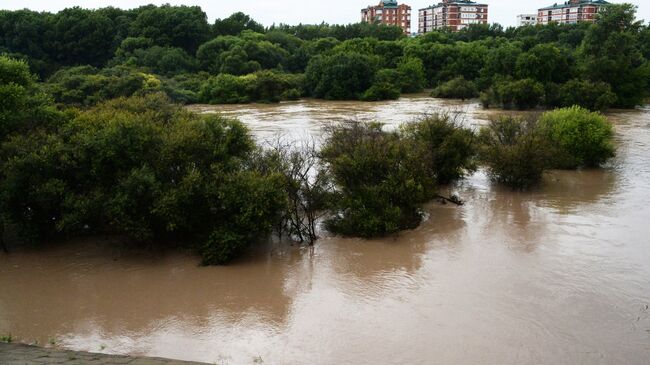 Потоки воды на затопленной улице в Приморье. Архивное фото