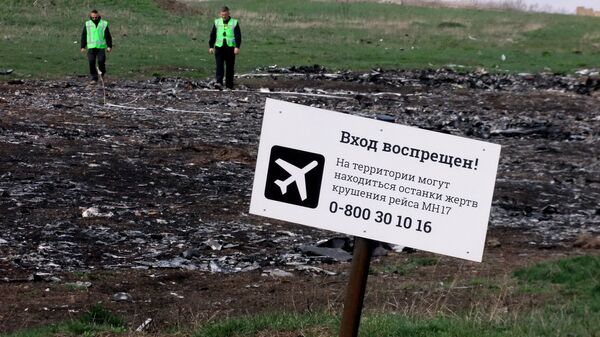 Обломки потерпевшего крушение малайзийского Boeing 777 в Донецкой области. Архивное фото