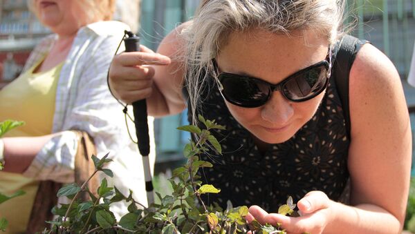 В Аптекарском огороде открылся сенсорный сад для слепоглухих