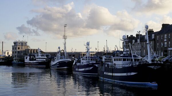 Рыболовецкие суда в порту Питерхед, Шотландия