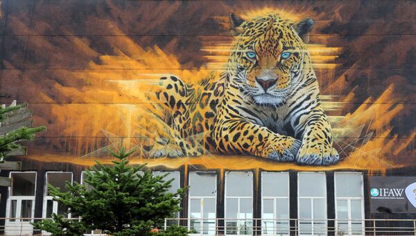 Граффити с леопардом украсил видовую площадку над Золотым мостом