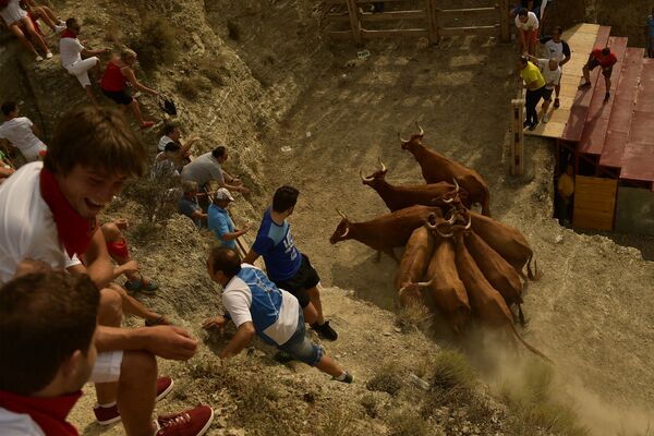 Жители деревни во время традиционного пробега быков на севере Испании