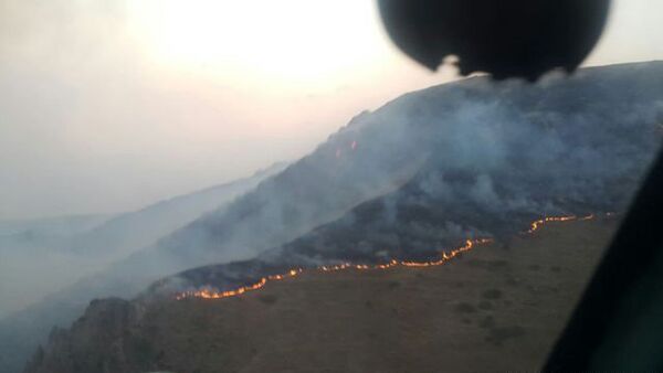 Пожар в Хосровском заповеднике в Армении