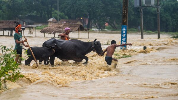 Во время наводнения в Непале. 13 августа 2017