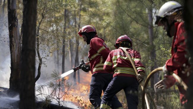 Тушение пожара, приближающийся к деревне Пукарица, недалеко от Абрантиша, Португалия. 11 августа 2017
