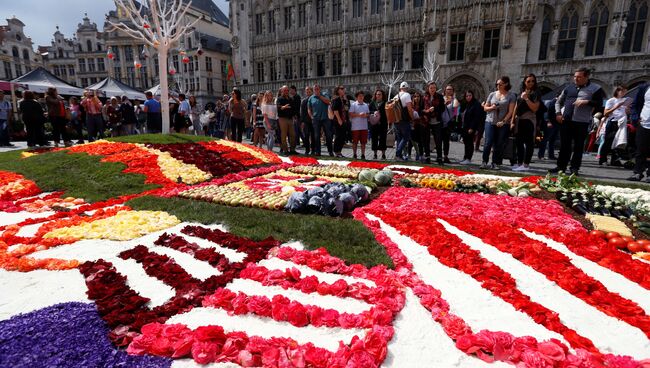 Ковер из сотен тысяч живых цветов выложен на центральной площади Брюсселя — Гран Пляс
