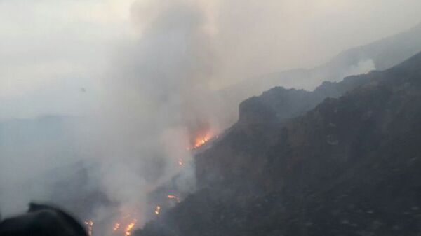 Пожар в Хосровском заповеднике в Армении
