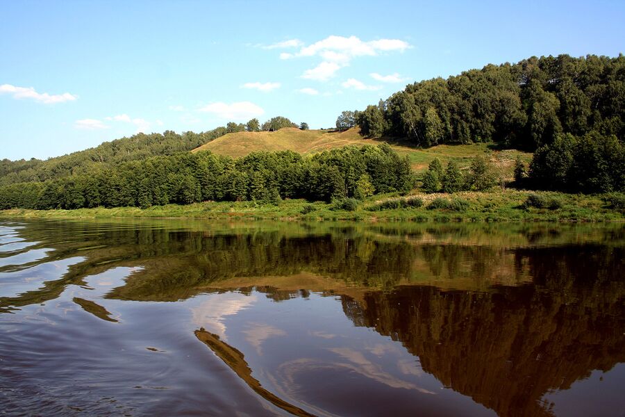 Лысая гора, Клязьминский Береговой заказник