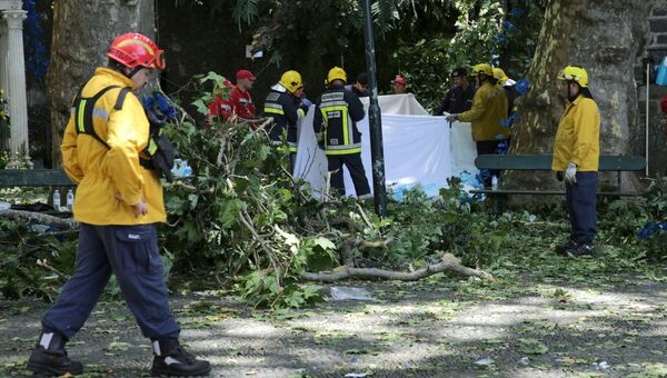 Спасатели на месте падения дерева на острове Мадейра, Португалия. 15 августа 2017