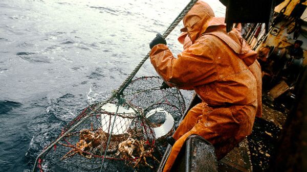 Сахалинские пограничники в среду выпустят в море около 20 тонн краба
