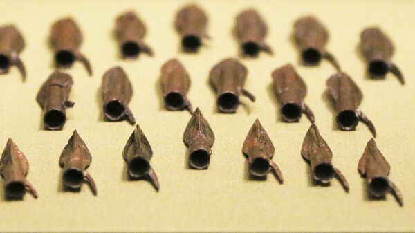 Золотые наконечники стрел в Британском музее в Лондоне во время подготовки к выставке Скифы: воители древней Сибири