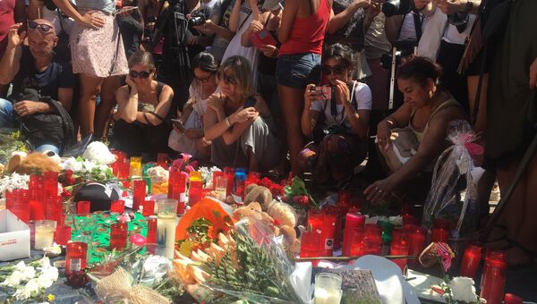 Во время мероприятия посвященного памяти жертв теракта в Барселоне. 18 августа 2017