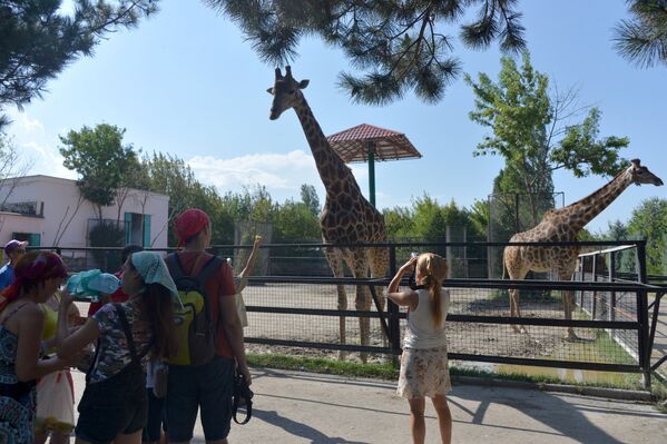 Посетители около вольера с жирафами в сафари-парке Тайган в Белогорском районе