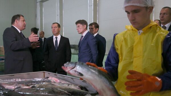 Дмитрий Медведев во время посещения рыбоперерабатывающего предприятия Соловьевка в Корсаковском районе Сахалинской области. 23 августа 2017