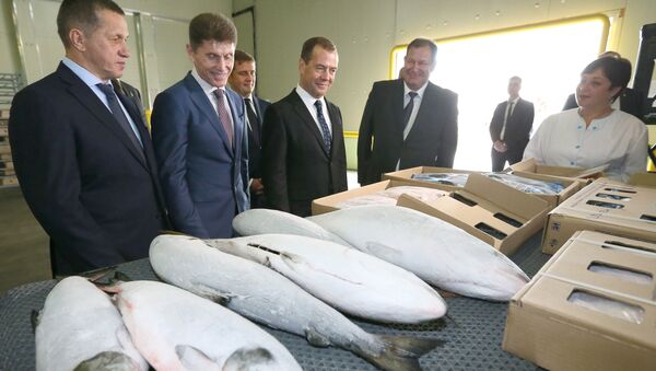 Дмитрий Медведев во время посещения рыбоперерабатывающего предприятия Соловьевка в Корсаковском районе Сахалинской области.