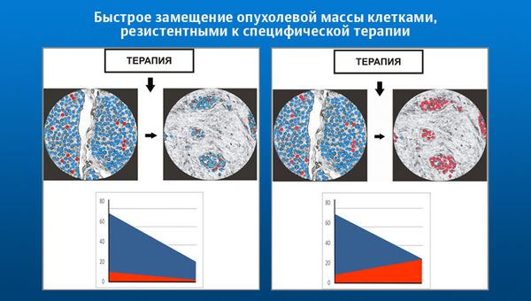 Иллюстрация показывает замещение изначальных опухолевых клеток (синие) устойчивыми к примененному препарату (красные) Иллюстрация показывает замещение изначальных опухолевых клеток (синие) устойчивыми к примененному препарату (красные)