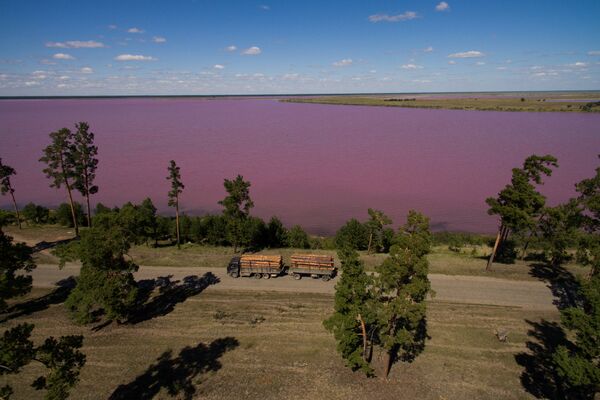 Горько-соленое Малиновое озеро в Михайловском районе Алтайского края
