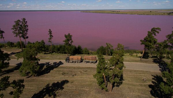 Горько-соленое Малиновое озеро в Михайловском районе Алтайского края. Архивное фото