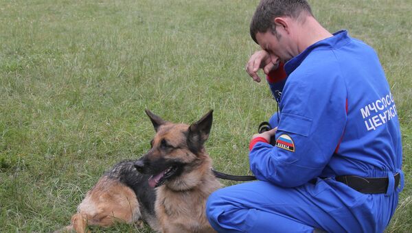 Собака и сотрудник спасательной службы. Архивное фото