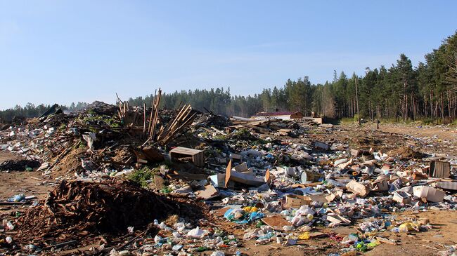 ОНФ требует ликвидировать незаконную свалку в Подмосковье