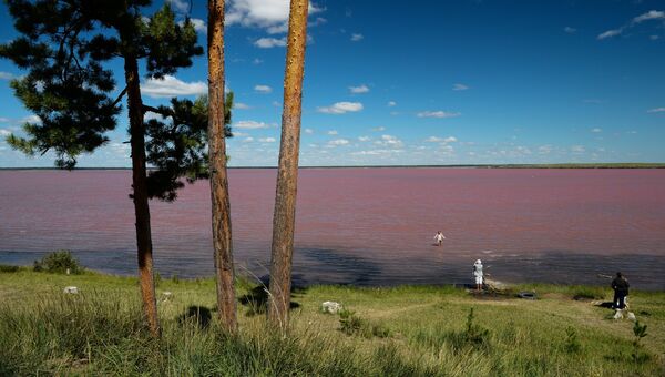 Отдыхающие на горько-соленом Малиновом озере в Михайловском районе Алтайского края