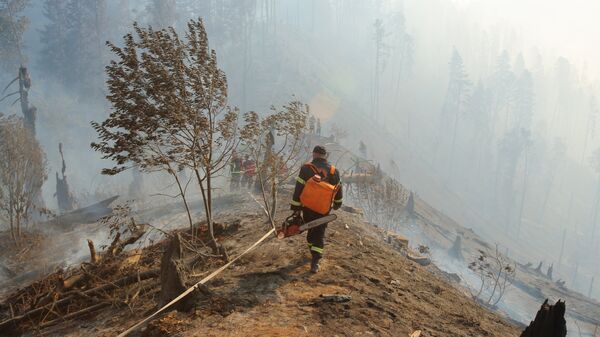 Сотрудники противопожарной службы на месте пожаров в лесу в Грузии