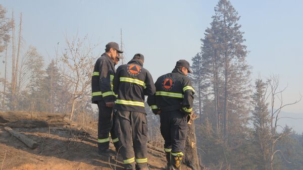 Сотрудники противопожарной службы на месте пожаров в Боржоми-Харагаульском лесу в Грузии