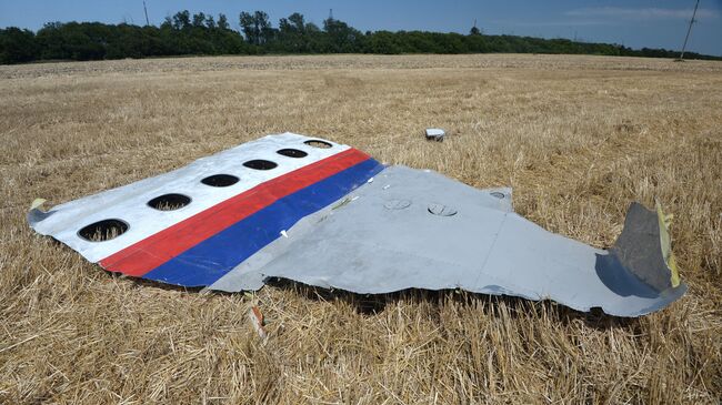 Обломки потерпевшего крушение малайзийского Boeing 777 в Донецкой области. Архивное фото