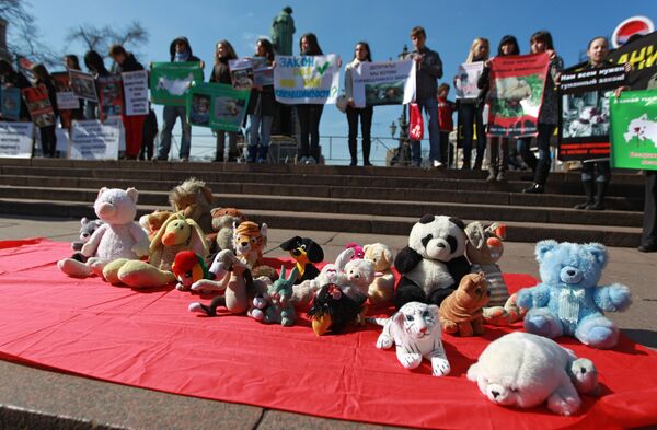 Акция против жестокого обращения с животными Россия без жестокости Акция против жестокого обращения с животными Россия без жестокости