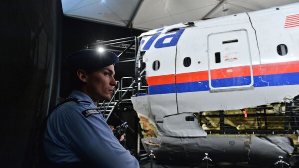 Обломки самолета Boeing 777 Malaysia Airlines (рейс MH17) в Нидерландах. Архивное фото
