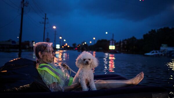 Местные жители ждут эвакуации на улице Хьюстона после шторма Харви. 27 августа 2017