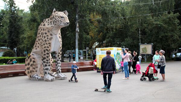 27 августа в парке Красная Пресня прошел экофестиваль День леопарда