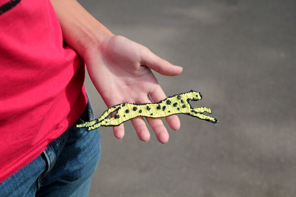 На мастер-классе по 3D-моделированию с помощью специальных ручек можно было создать трехмерную модель леопарда