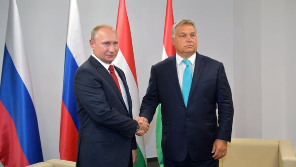 Президент РФ Владимир Путин и премьер-министр Венгрии Виктор Орбан  во время встречи в Будапеште. 28 августа 2017
