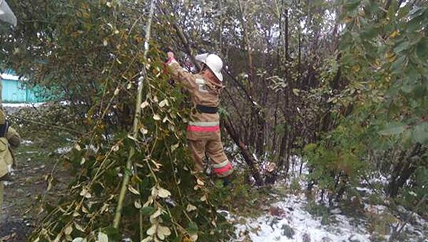 В Селемджинском районе Амурской области устраняют последствия снегопада