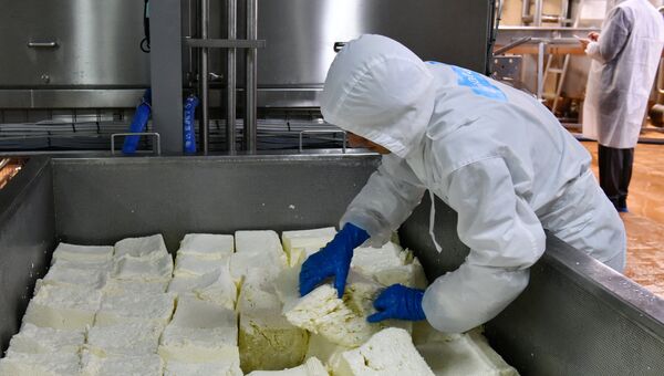 Производство сыров на предприятии