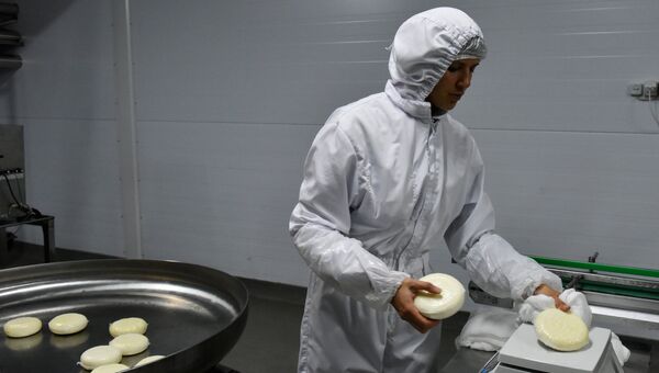 Производство сыров на предприятии. Архивное фото